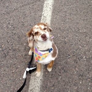 Meet your Posher, Kelsey